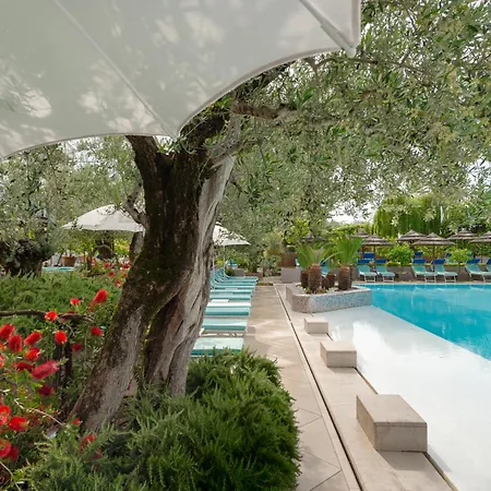 Hotel Olivi & Natural 4*